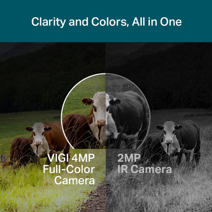 TP-Link VIGI C540-4G | 4MP Full-Colour 4G Pan-Tilt Camera | Remote Surveillance
