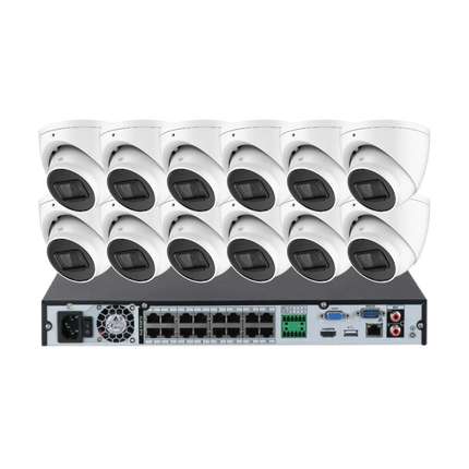 Dahua 12-camera 5MP AI CCTV kit showing twelve DH-IPC-HDW2541EMP-AS-ANZ turret cameras and one DHI-NVR4216-16P-AI/ANZ 16-channel PoE NVR.